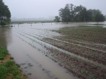 Wateroverlast